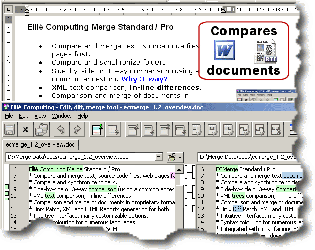 Word, RTF, PDF, ZIP